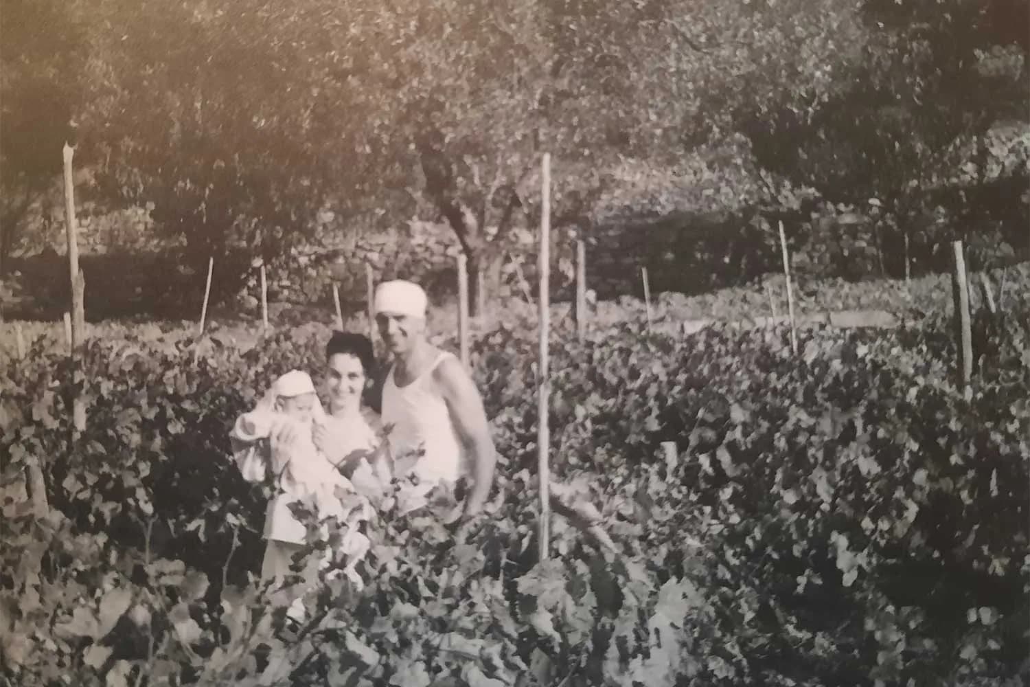 La famiglia Ramoino tra i filari negli anni Cinquanta