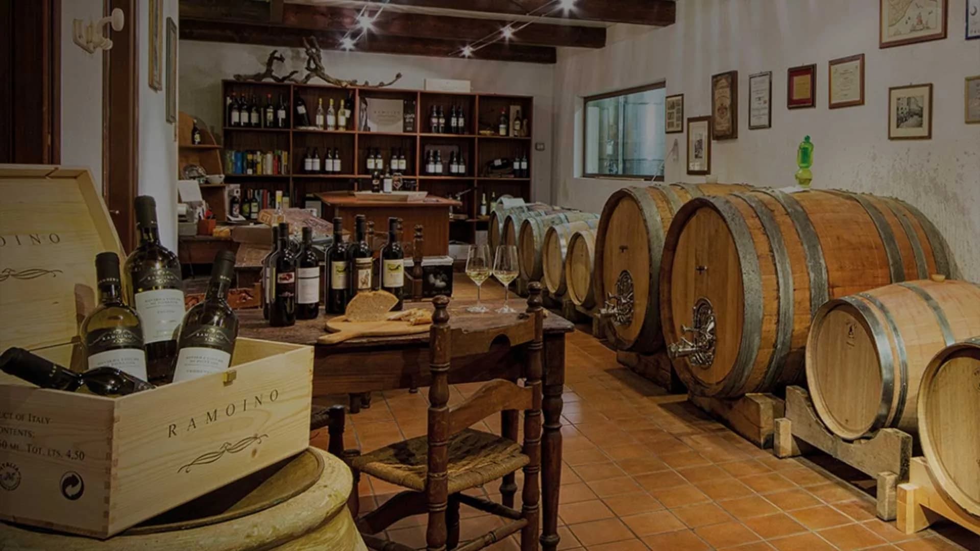 La sala degustazione con le botti della cantina di Sarola